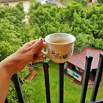Arenda 3* Niedzica